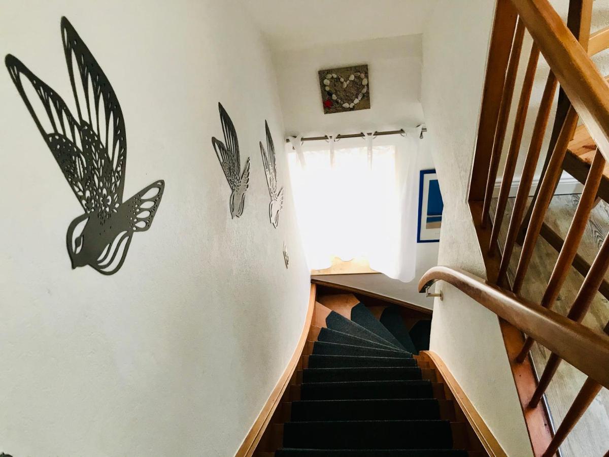 Ferienwohnung Seeblick 博尔库姆 外观 照片